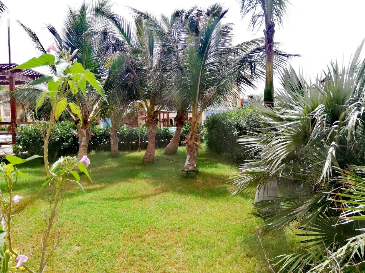 Apartment | In Tropical Resort | Pool | Close To Beach Santa María Exterior foto